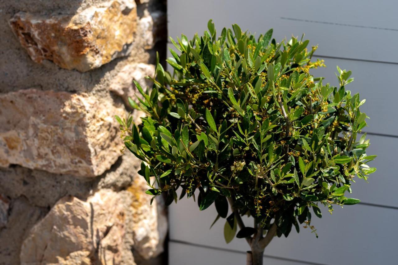 Kasteli Suites Perivolos  Dış mekan fotoğraf